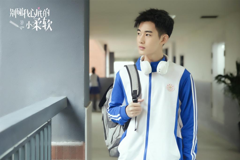 爱情片《别碰我心底的小柔软》