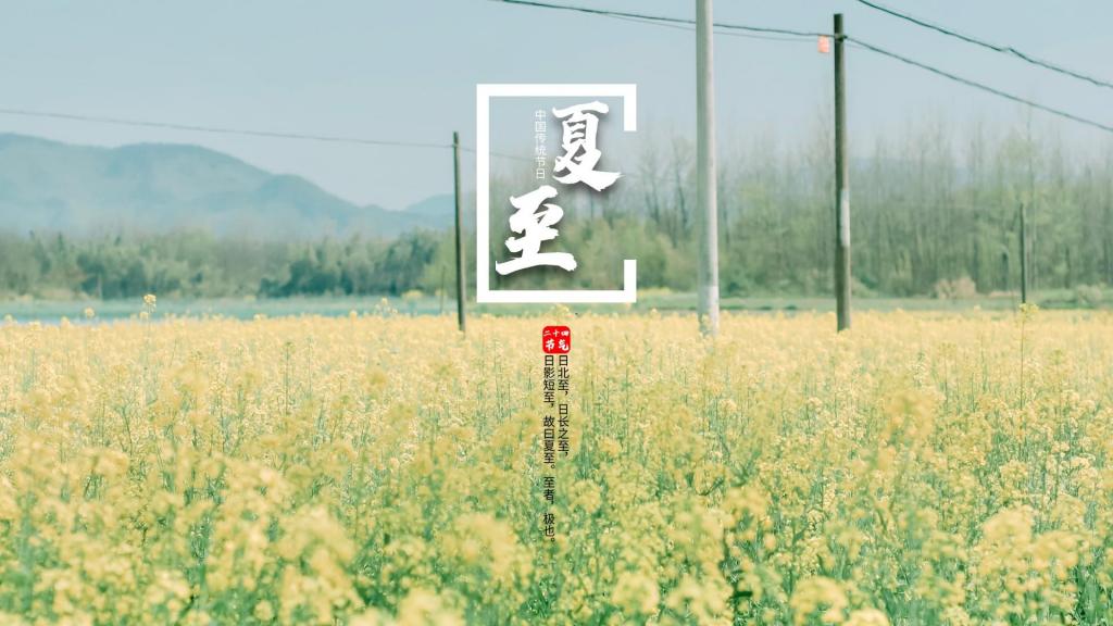 二十四节气之夏至