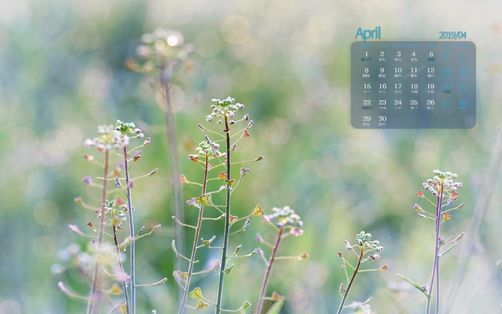 2019年4月美得让人流连忘返的风景日历