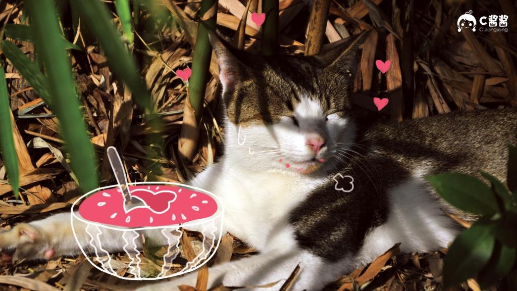 恶搞喵星人(猫咪)