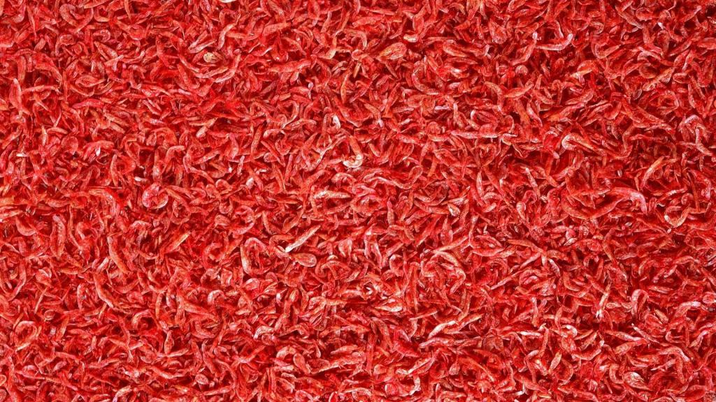 颜色鲜明的炫彩图案