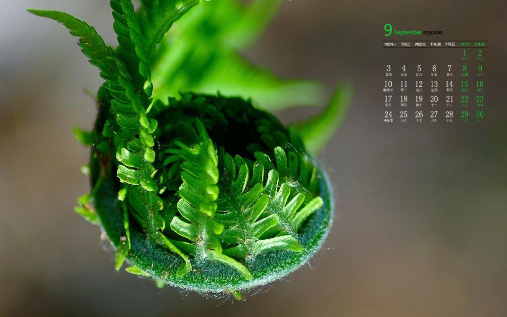 2018年9月绿色小清新植物写真日历