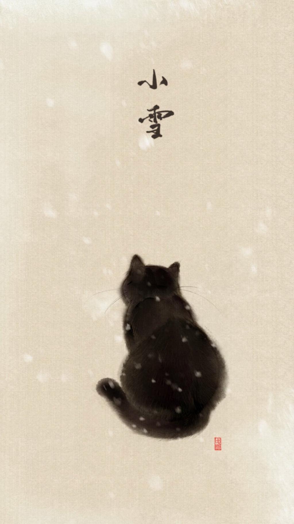 冬至猫咪节气暖心