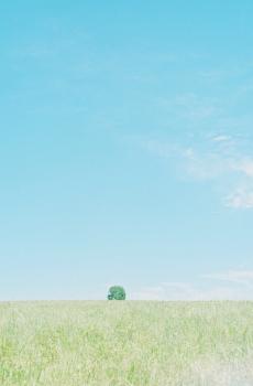 蓝色小清新自然风景-8