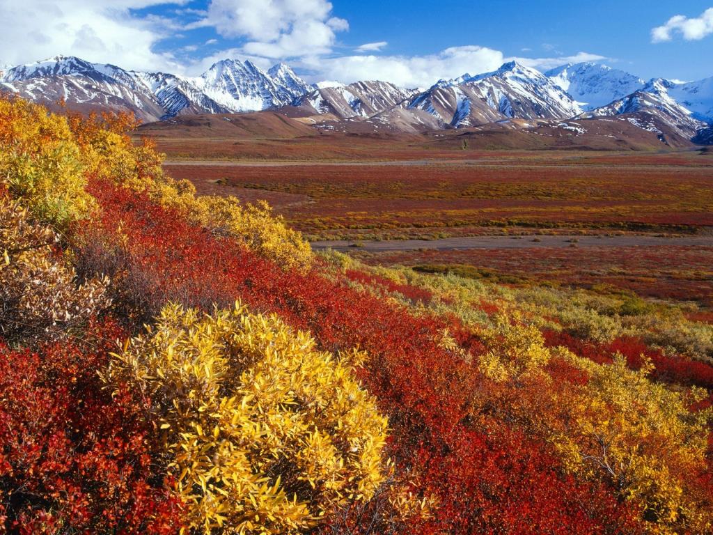雾蒙蒙山崖