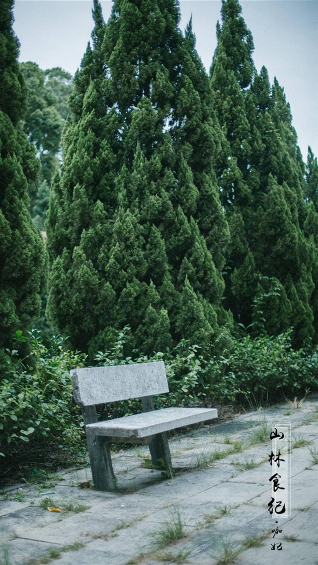 山林食纪之山寺