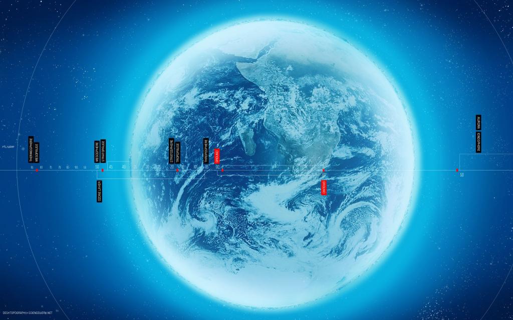 逼真动物创意设计合集