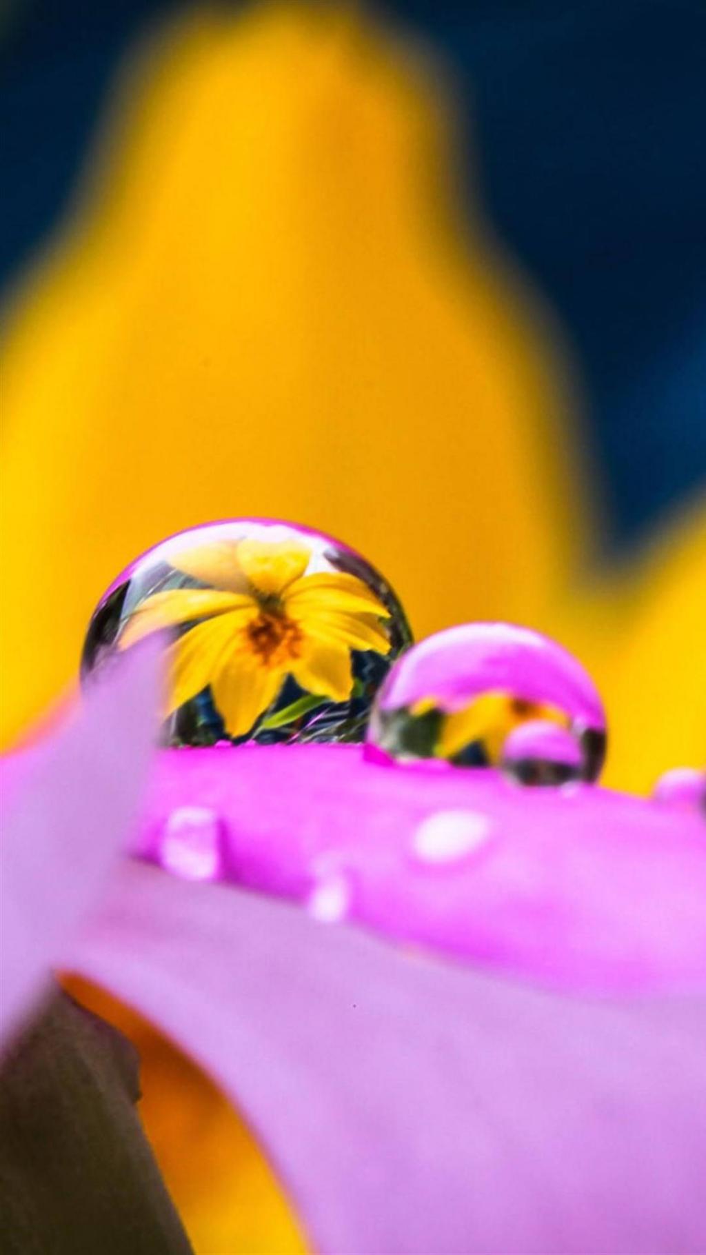 水珠唯美微距摄影