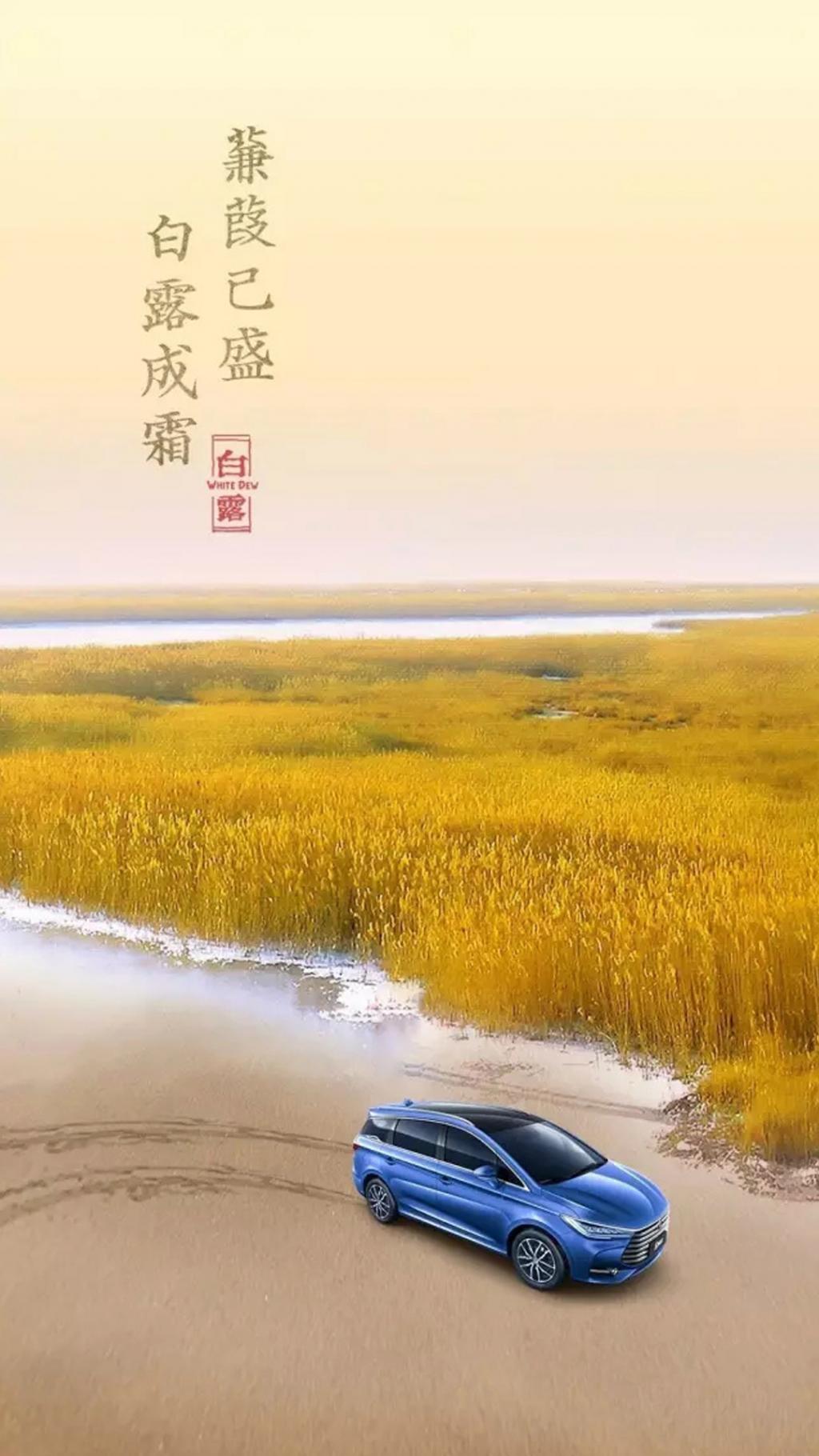 蒹葭苍苍，白露为霜