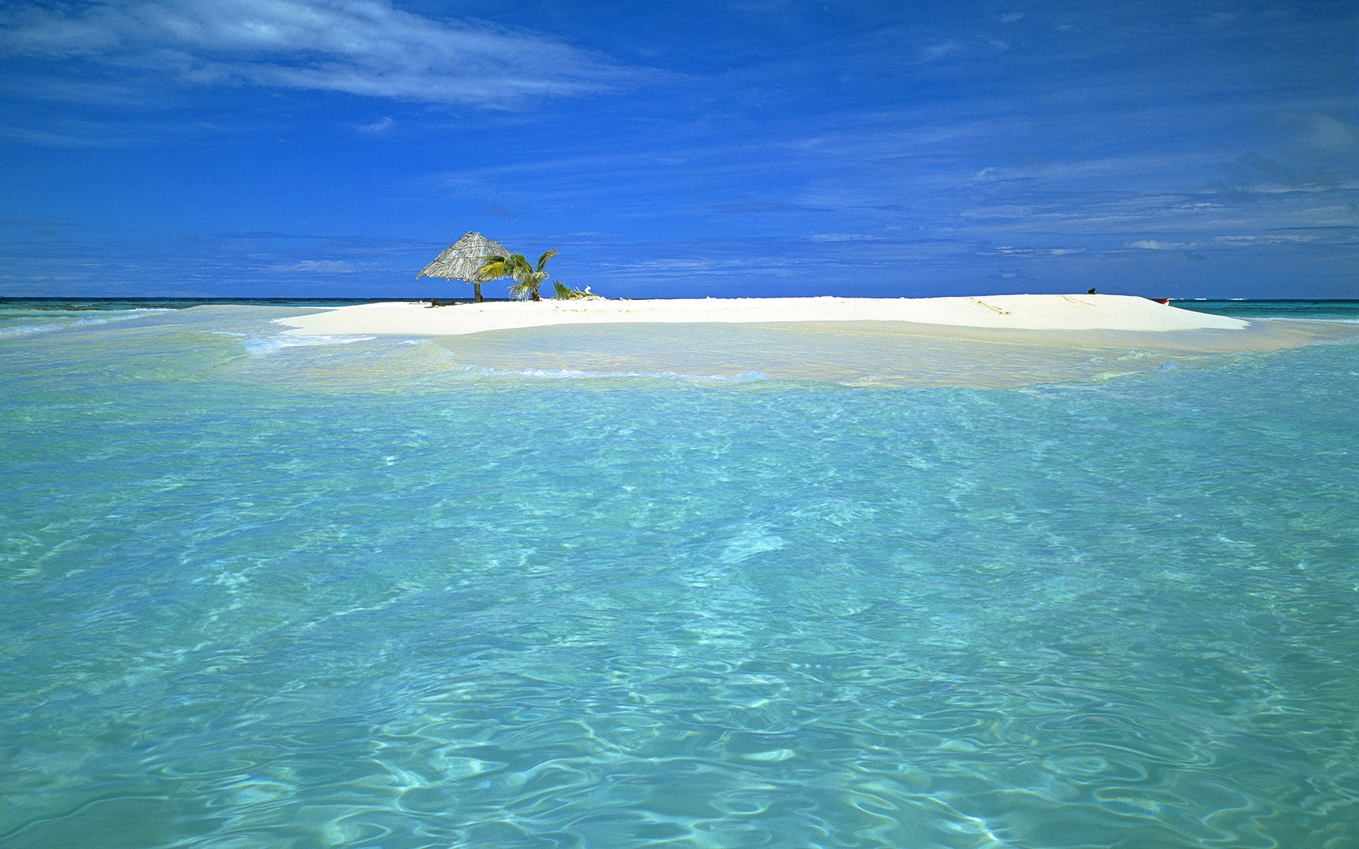 夏日阳光普照下的唯美大海