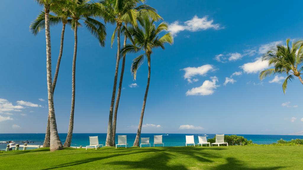 5k高清海滩椰树风景