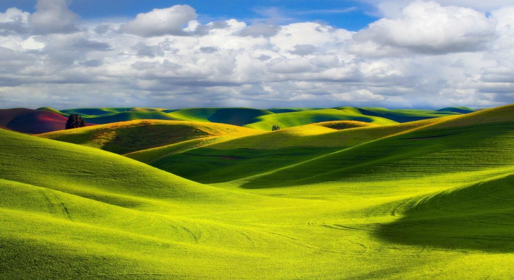 优美的大自然风景