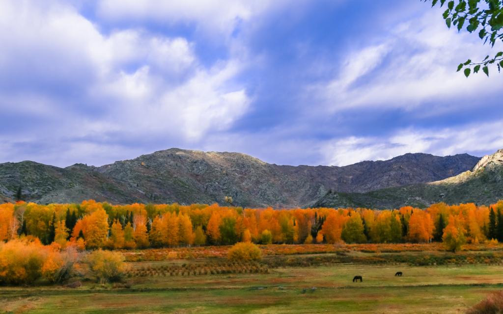 秋季的可可托海景色