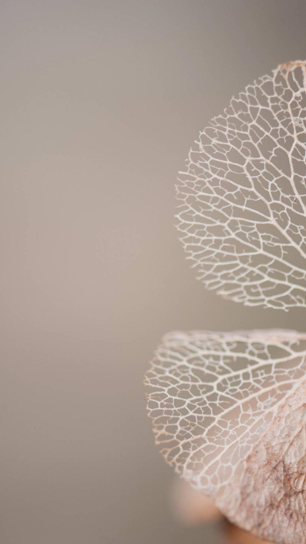 IUNI U3内置壁纸高清下载