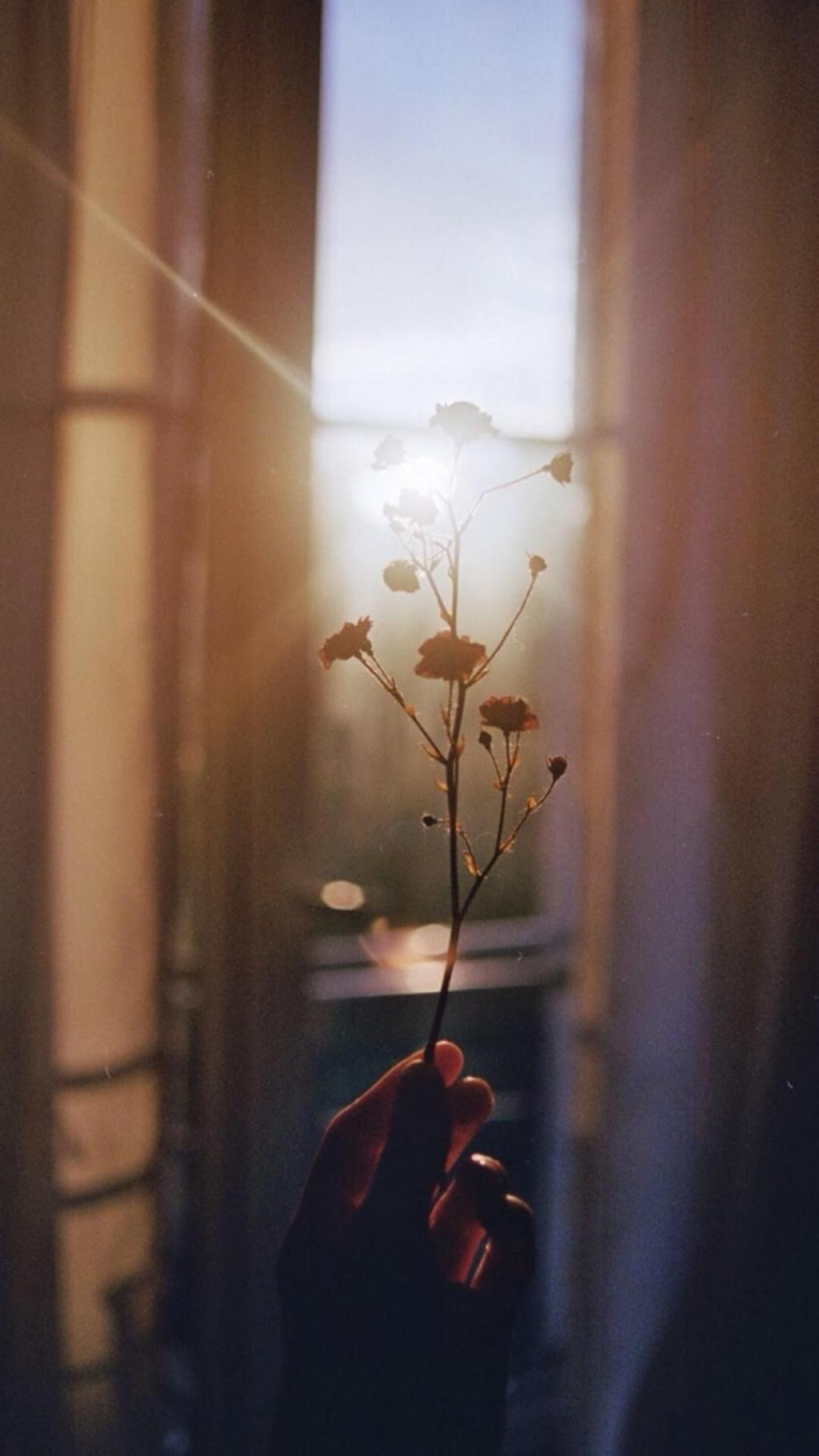 复古色调静物,高清图片,手机锁屏桌面-壁纸族