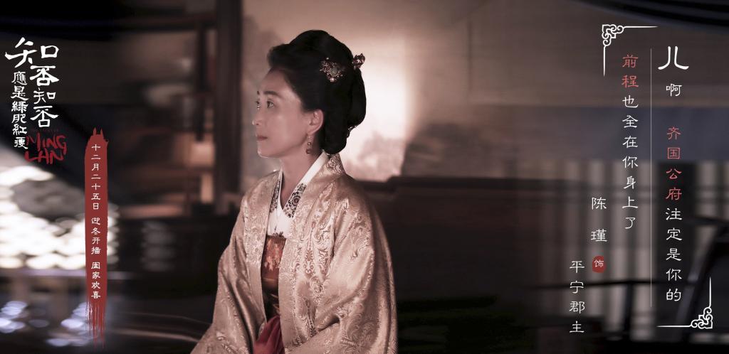 电视剧《知否知否应是绿肥红瘦》经典人物