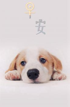 早安,这个世界-0