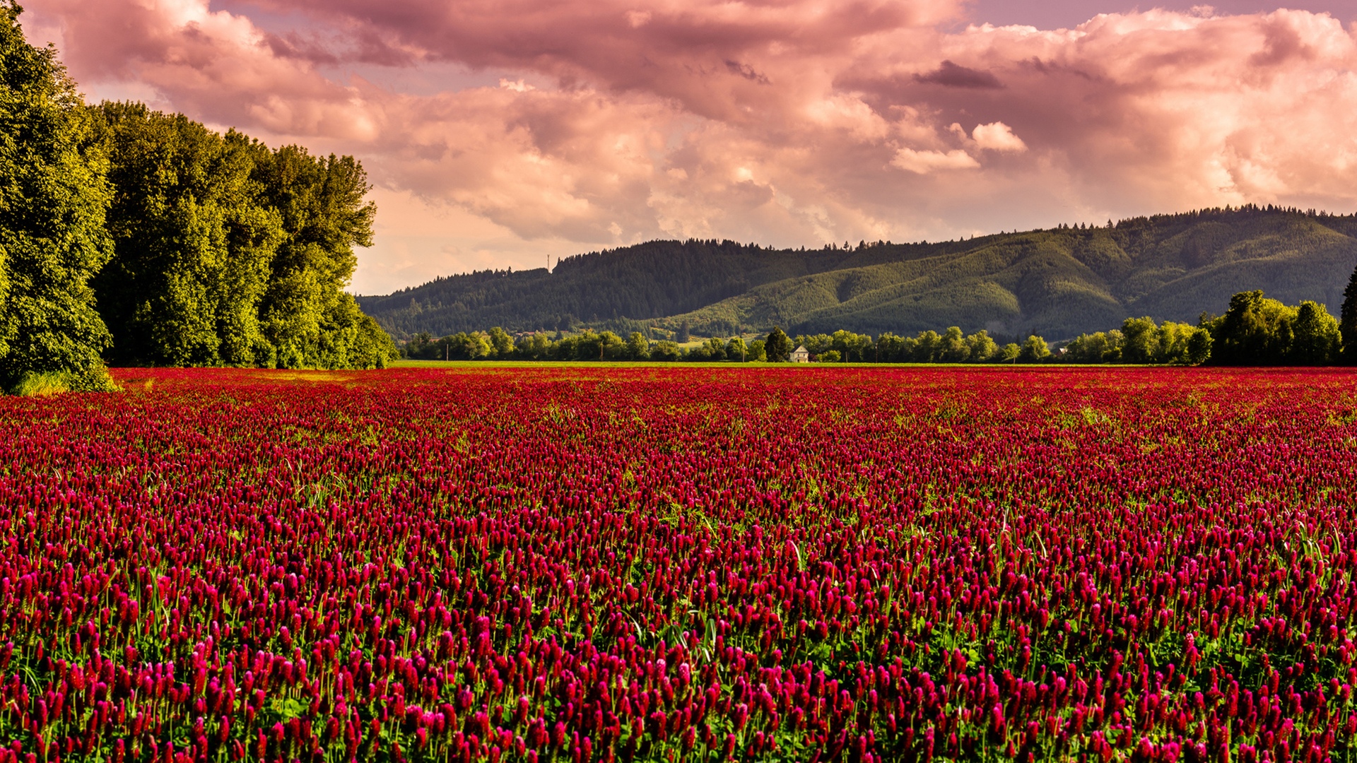 绿色乡村自然风光,高清图片,电脑桌面-壁纸族