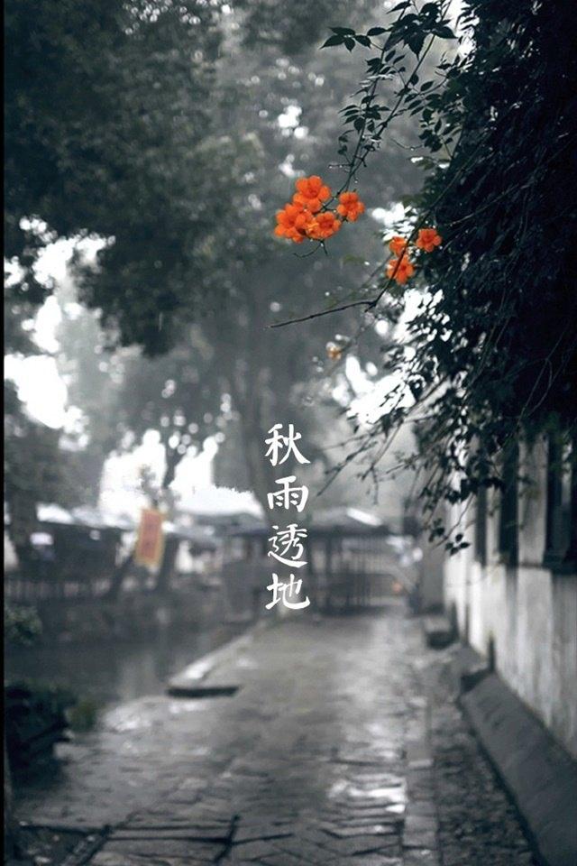 唯美二十四节气霜降文字