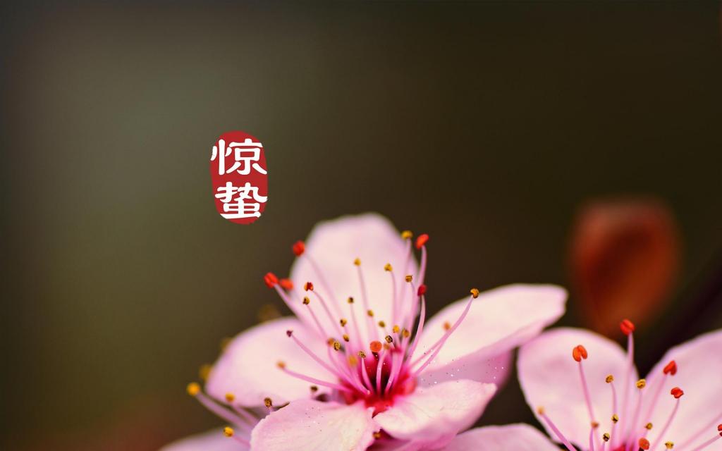 惊蛰是万物复苏的日子