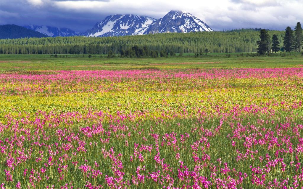 风光超大宽屏