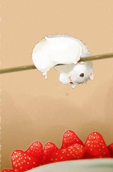 可爱卡通手绘宠物鼠-4