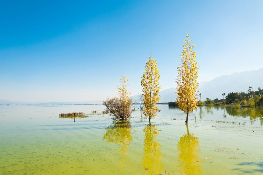 在大理风花雪月