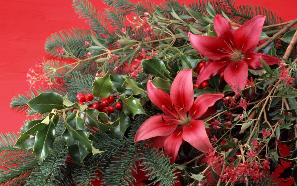 五彩缤纷的鲜花
