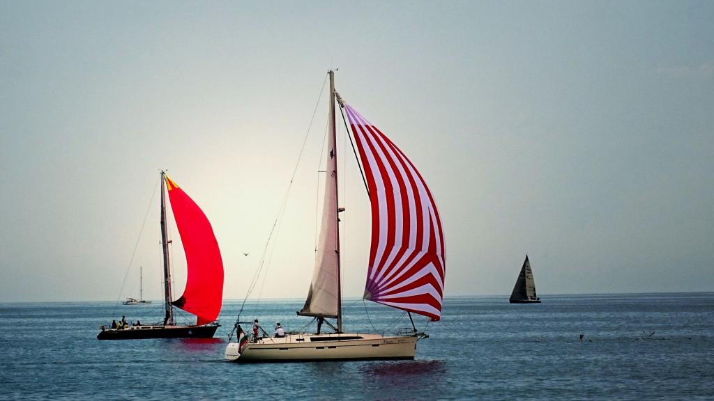 帆船在海上飘来飘去