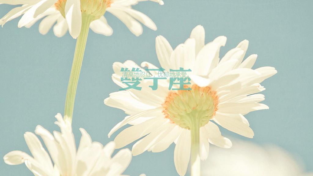 唯美双子座语录