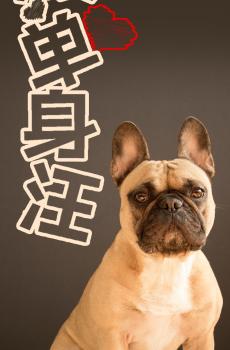 今天是光棍节-1