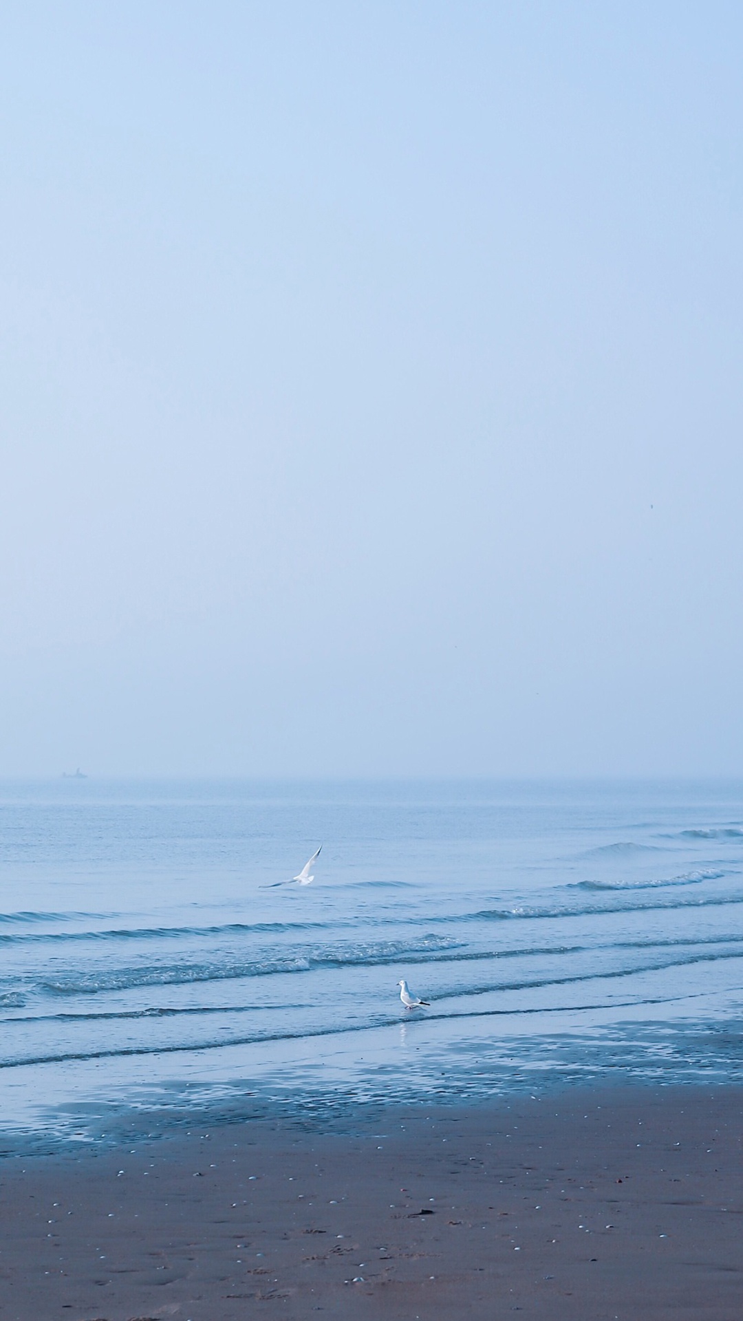 唯美海边日出美景