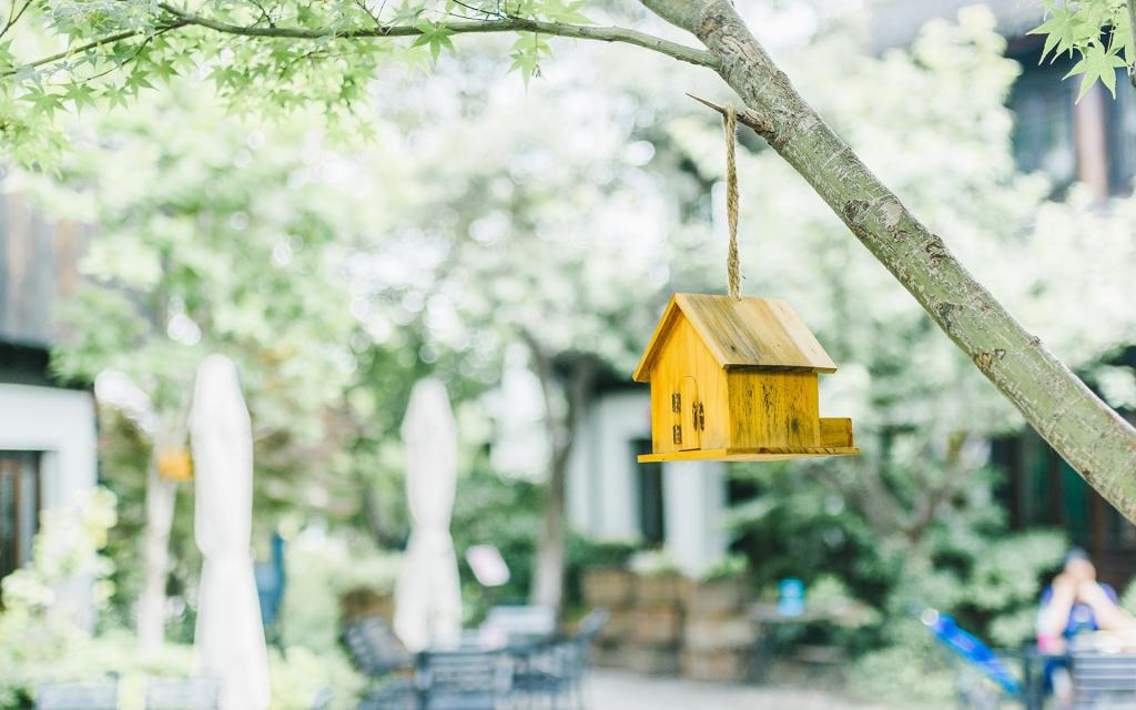 简单小清新唯美写真