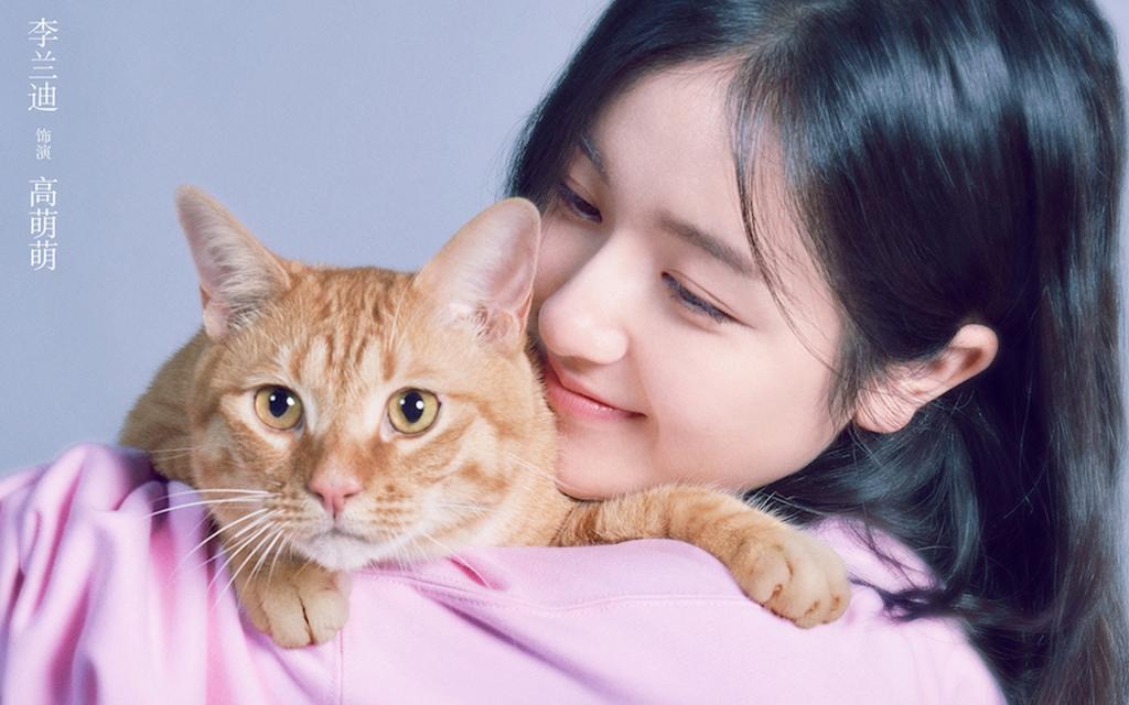 爱情喜剧电影《宠爱》