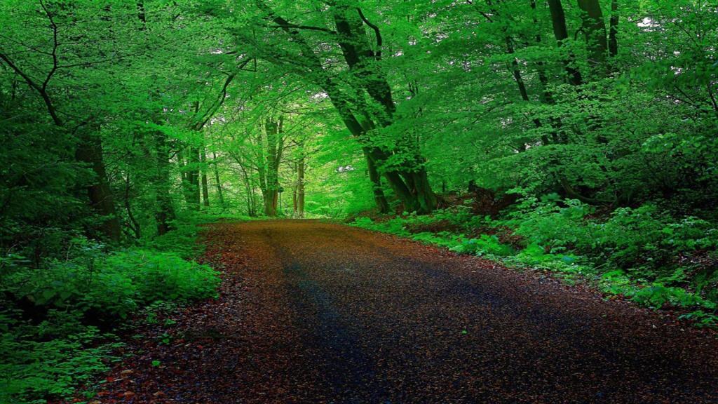 唯美自然风光美景