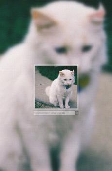 十二月中旬你好-3