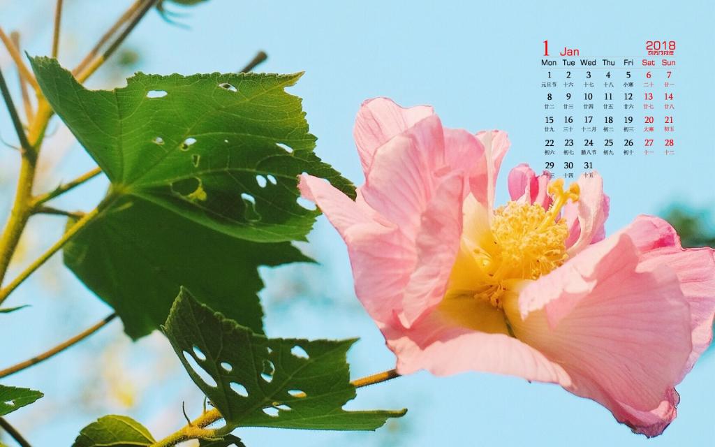 2018年1月养眼日历