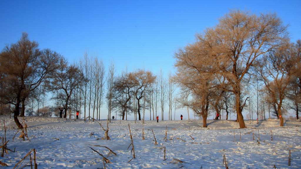 吉林雾凇岛风景