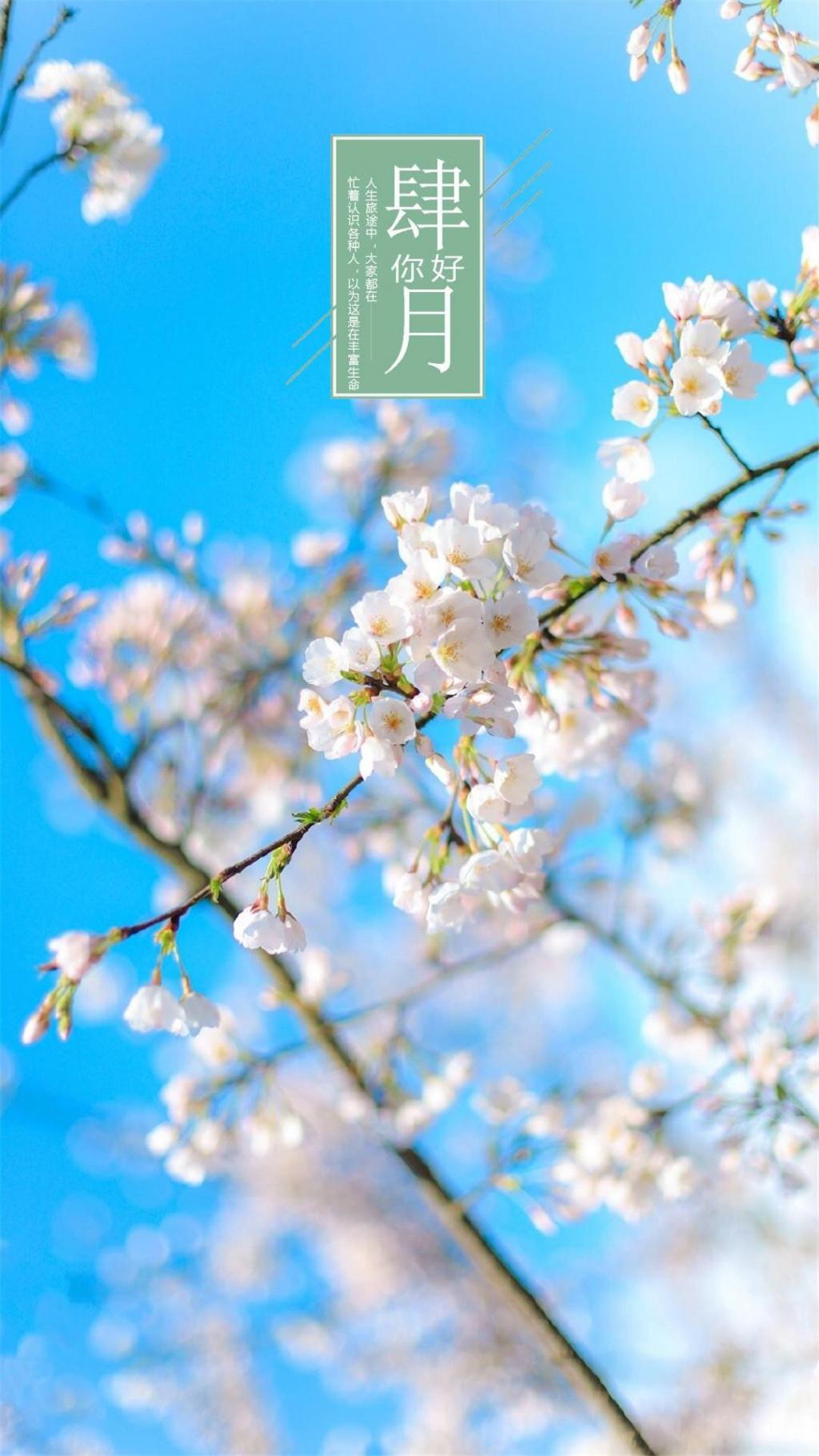 四月春暖花开心灵鸡汤语录