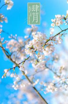 四月春暖花开心灵鸡汤语录-1