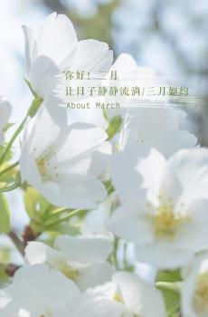 时光匆匆,三月如约-3