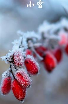 小雪分为三候-2