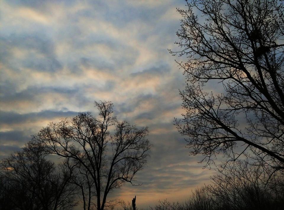 初春的早晨风景