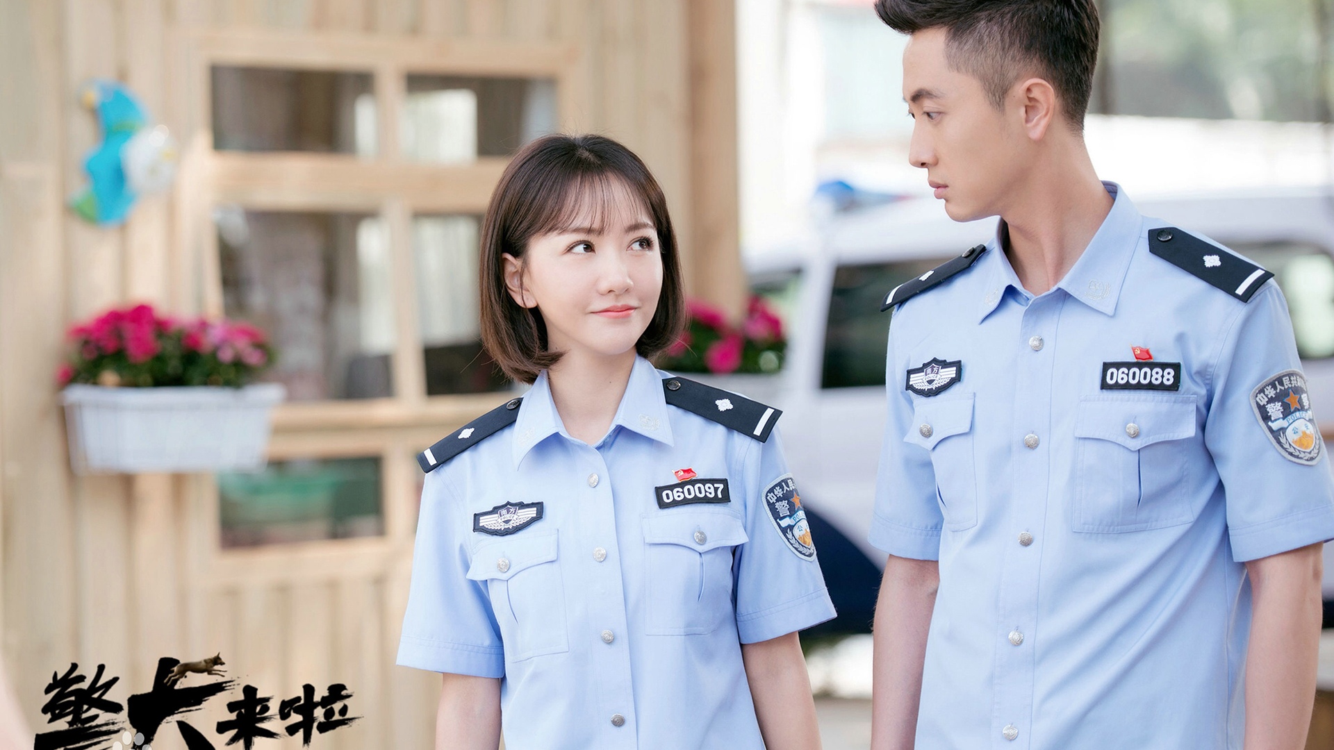 《警犬来啦》电视剧,高清图片,电脑桌面-壁纸族