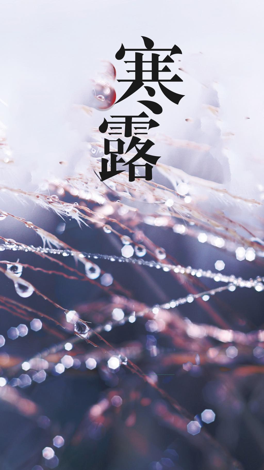 二十四节气的寒露