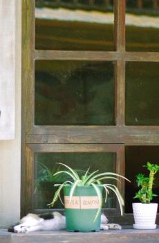 小清新文艺店铺摄影-6