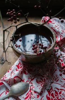 山林食纪之红豆生南国