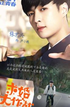 求婚大作战宣传海报