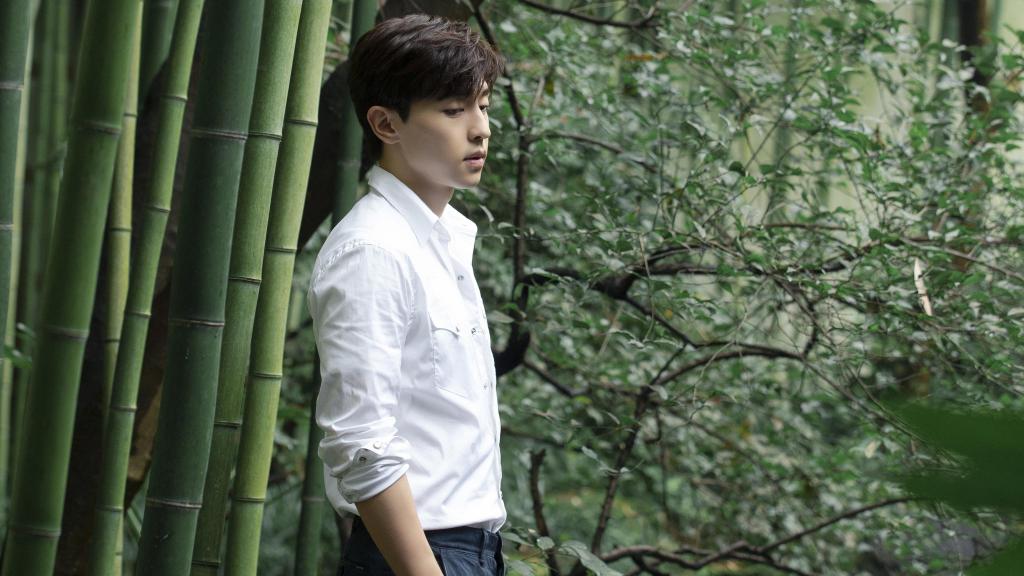 邓伦白衬衫竹林清新写真