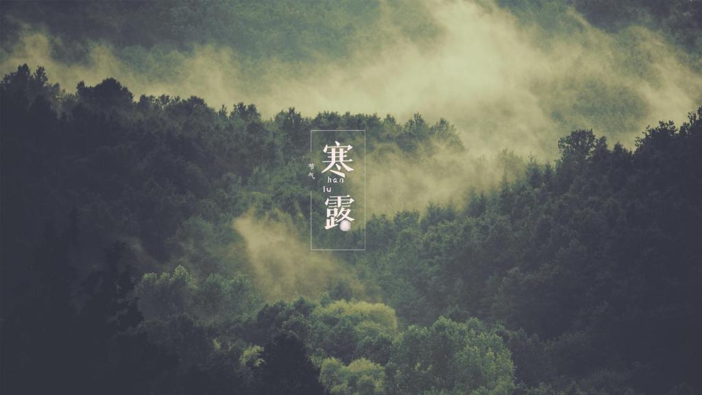 寒露时节优美森林风景
